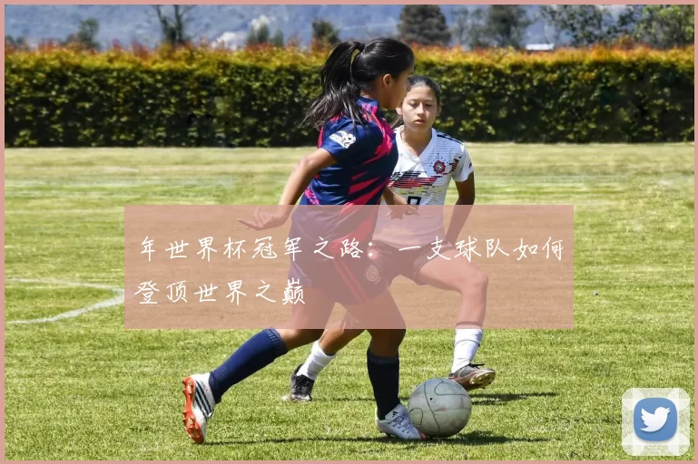 年世界杯冠军之路：一支球队如何登顶世界之巅
