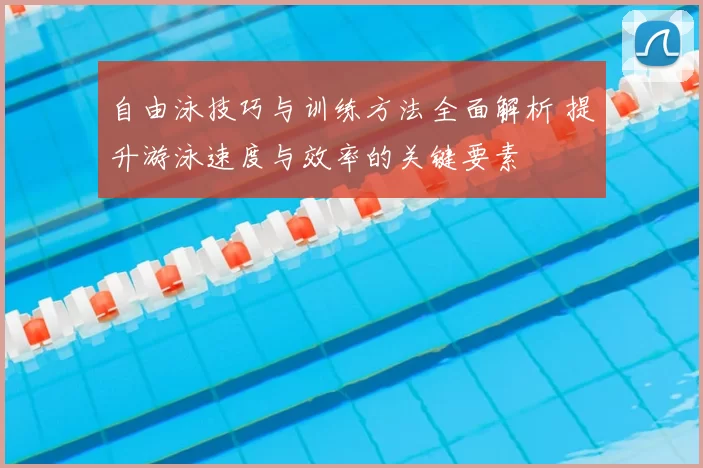 自由泳技巧与训练方法全面解析 提升游泳速度与效率的关键要素