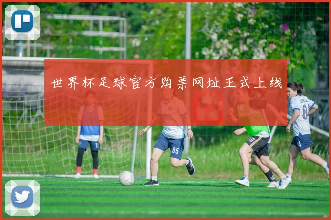 世界杯足球官方购票网址正式上线