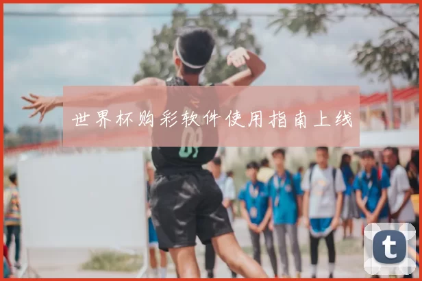 世界杯购彩软件使用指南上线