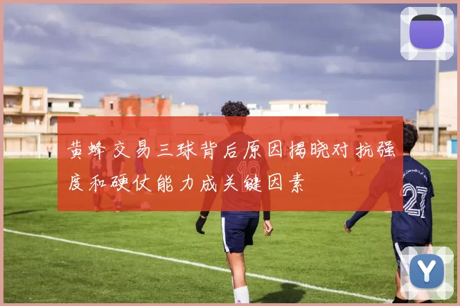 黄蜂交易三球背后原因揭晓对抗强度和硬仗能力成关键因素
