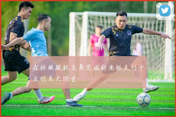 森林狼股权交易完成新老板支付十五亿美元现金
