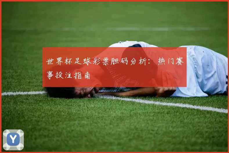 世界杯足球彩票胆码分析：热门赛事投注指南