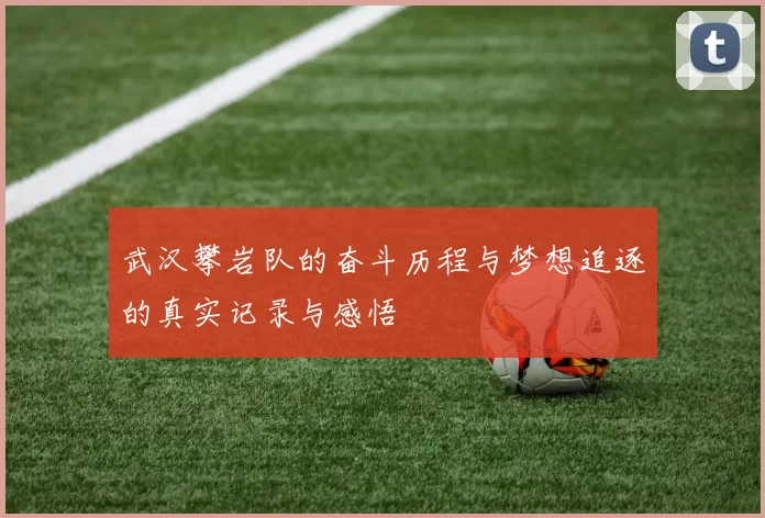 武汉攀岩队的奋斗历程与梦想追逐的真实记录与感悟