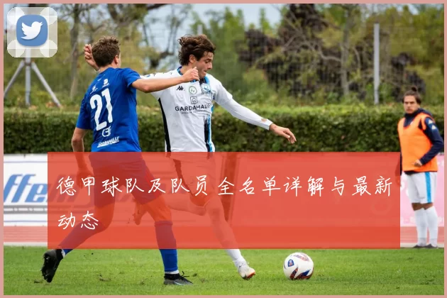 德甲球队及队员全名单详解与最新动态