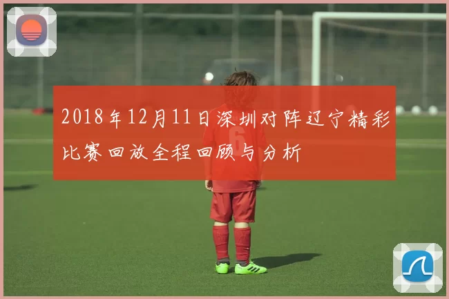 2018年12月11日深圳对阵辽宁精彩比赛回放全程回顾与分析