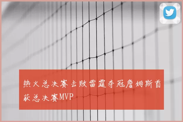 热火总决赛击败雷霆夺冠詹姆斯首获总决赛MVP