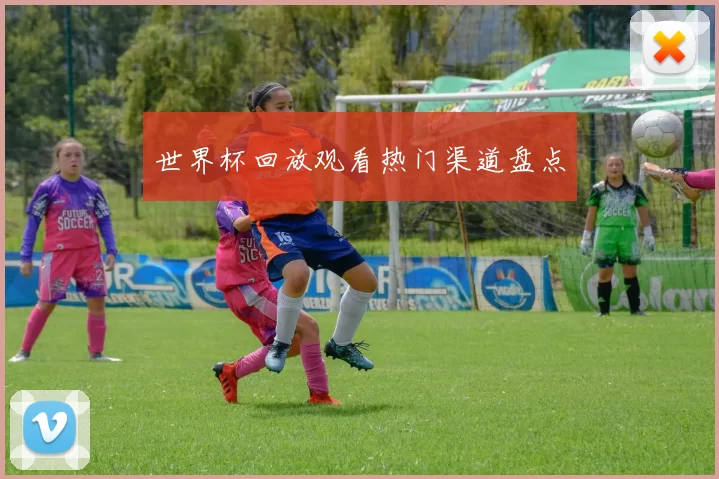 世界杯回放观看热门渠道盘点