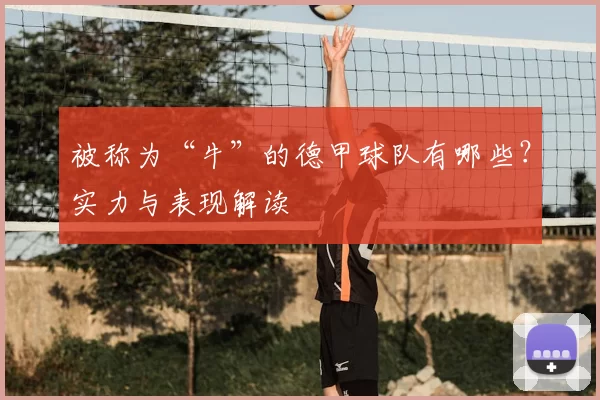 被称为“牛”的德甲球队有哪些？实力与表现解读