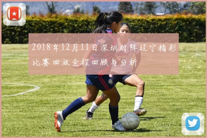 2018年12月11日深圳对阵辽宁精彩比赛回放全程回顾与分析